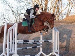 IMG-2173-030